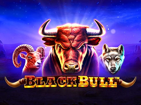 เกม Black Bull